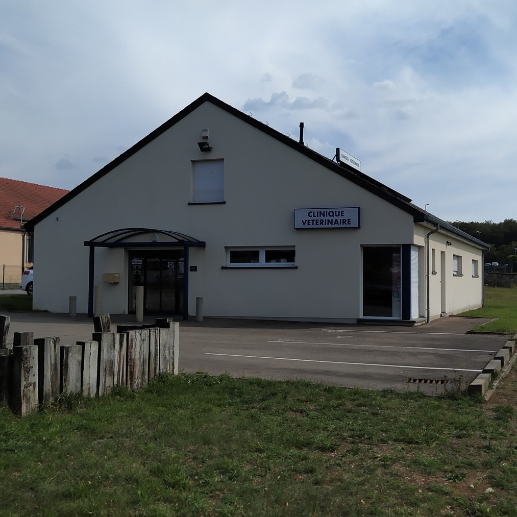 Bienvenue sur le site de la Clinique Vétérinaire à Longuyon
