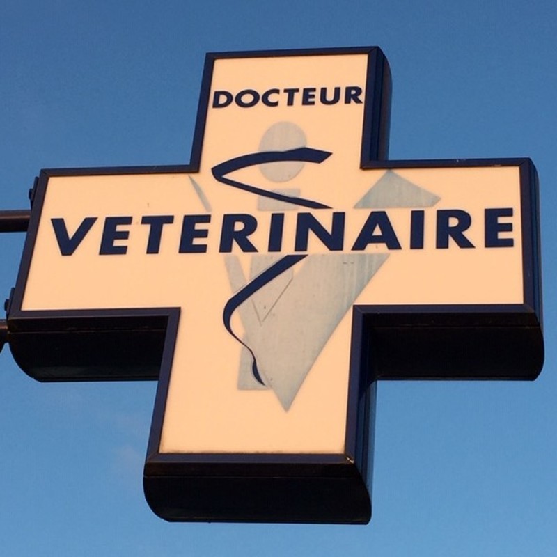 Bienvenue à la Clinique Vétérinaire des Blés !