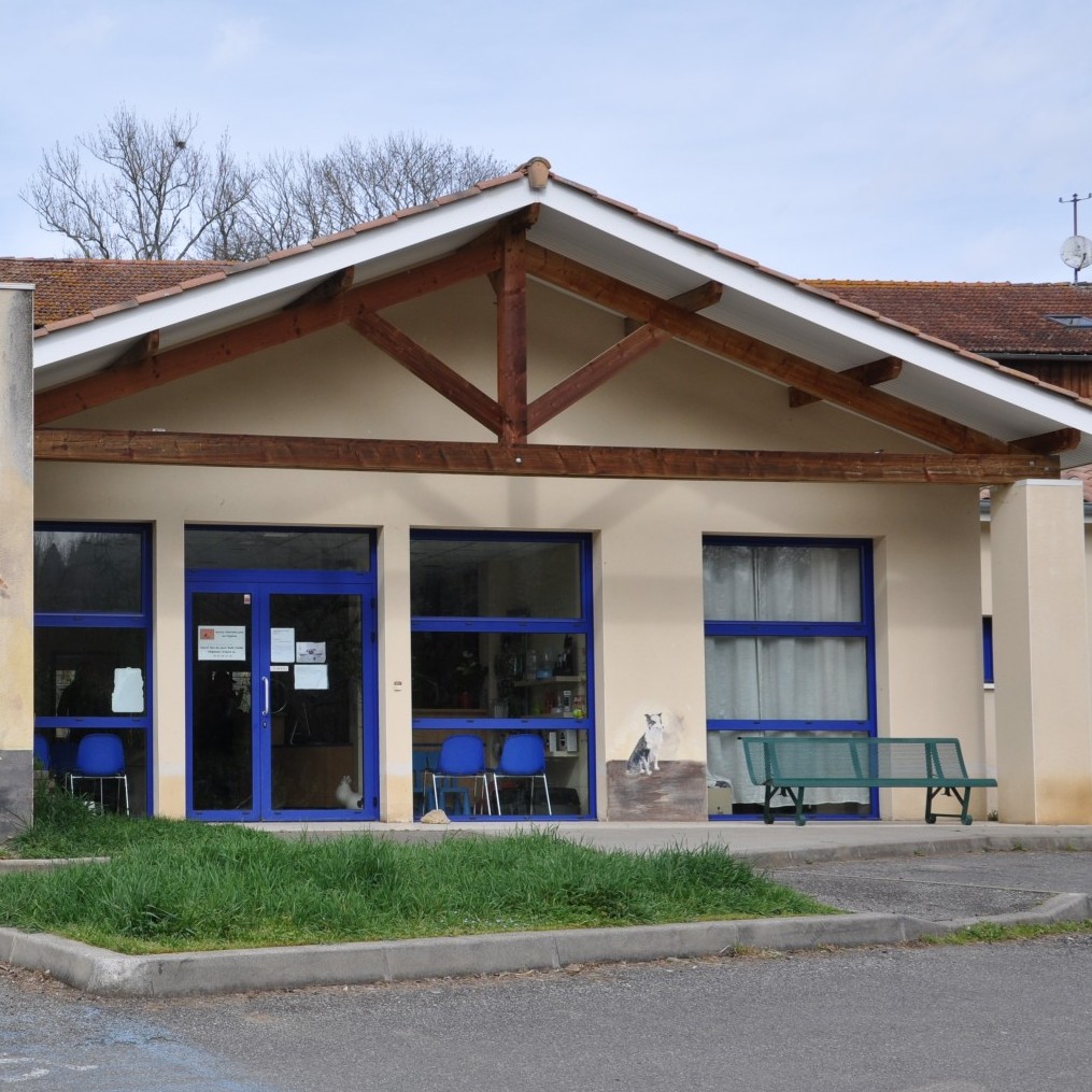 BIENVENUE À LA CLINIQUE VÉTÉRINAIRE LE CHAT PERCHÉ À MONTJOIE-EN-COUSERANS !