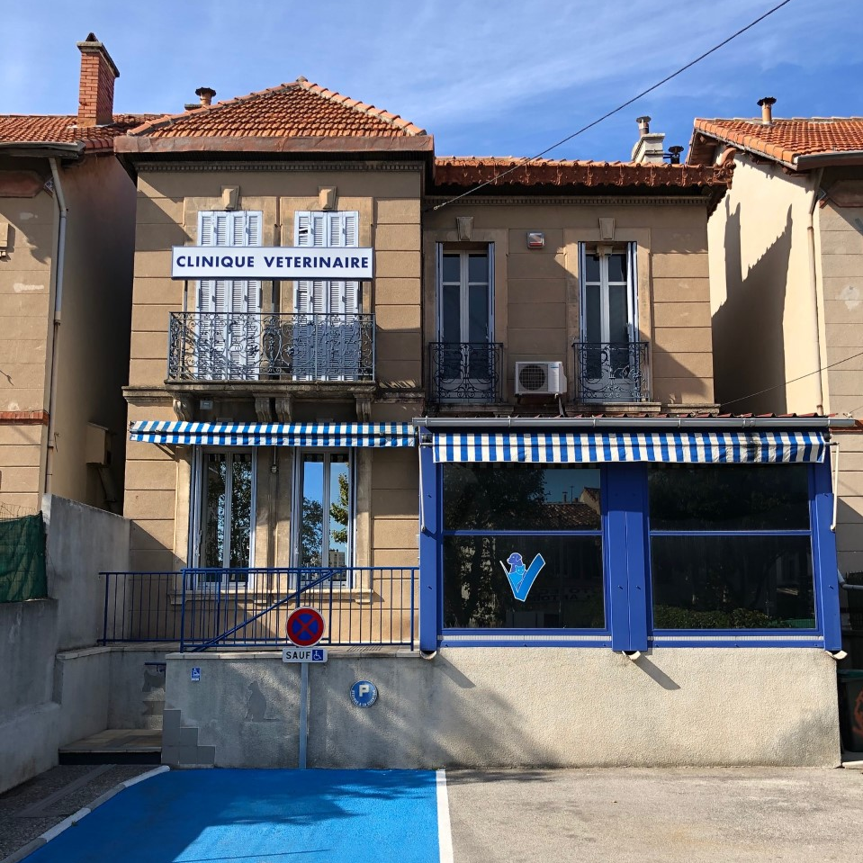 Bienvenue sur le site de la clinique vétérinaire de Saint-Antoine à Marseille !