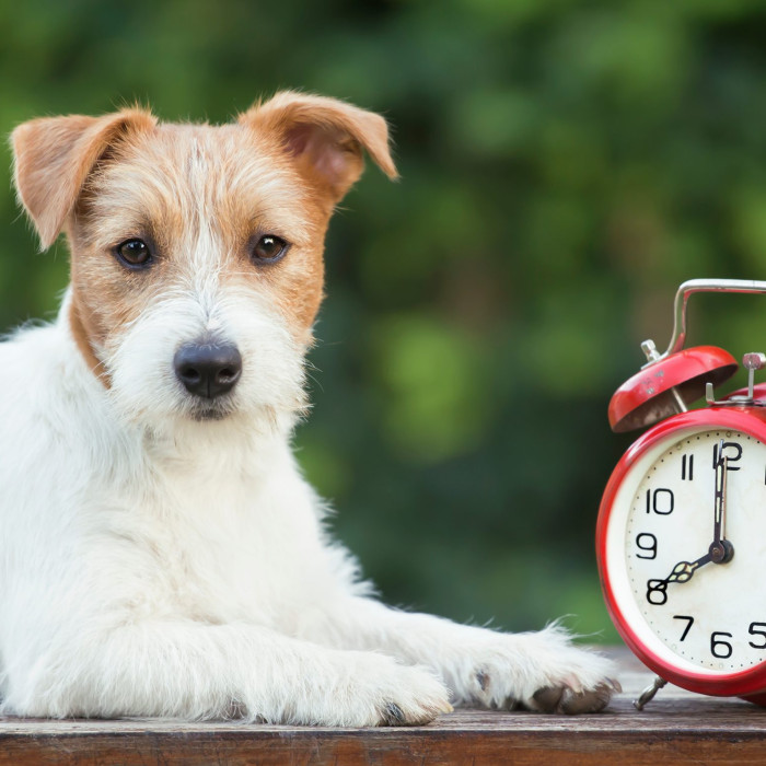Horaires clinique