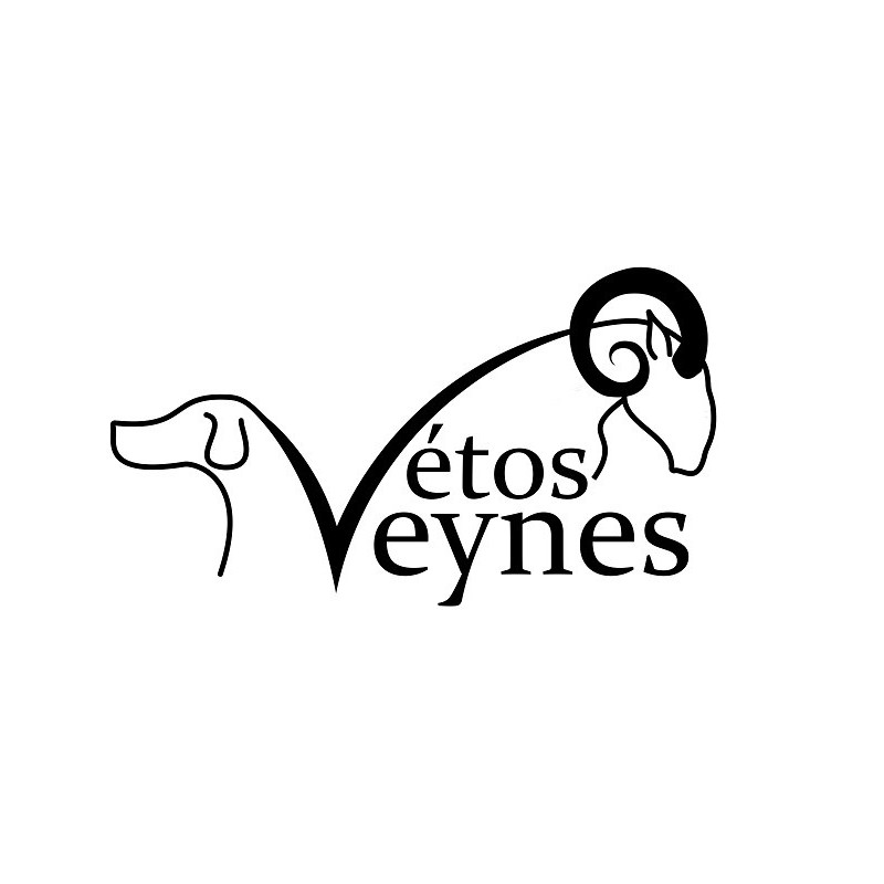 Bienvenue à la clinique vétérinaire de Veynes. Nous sommes heureux de vous accueillir vos animaux et vous.