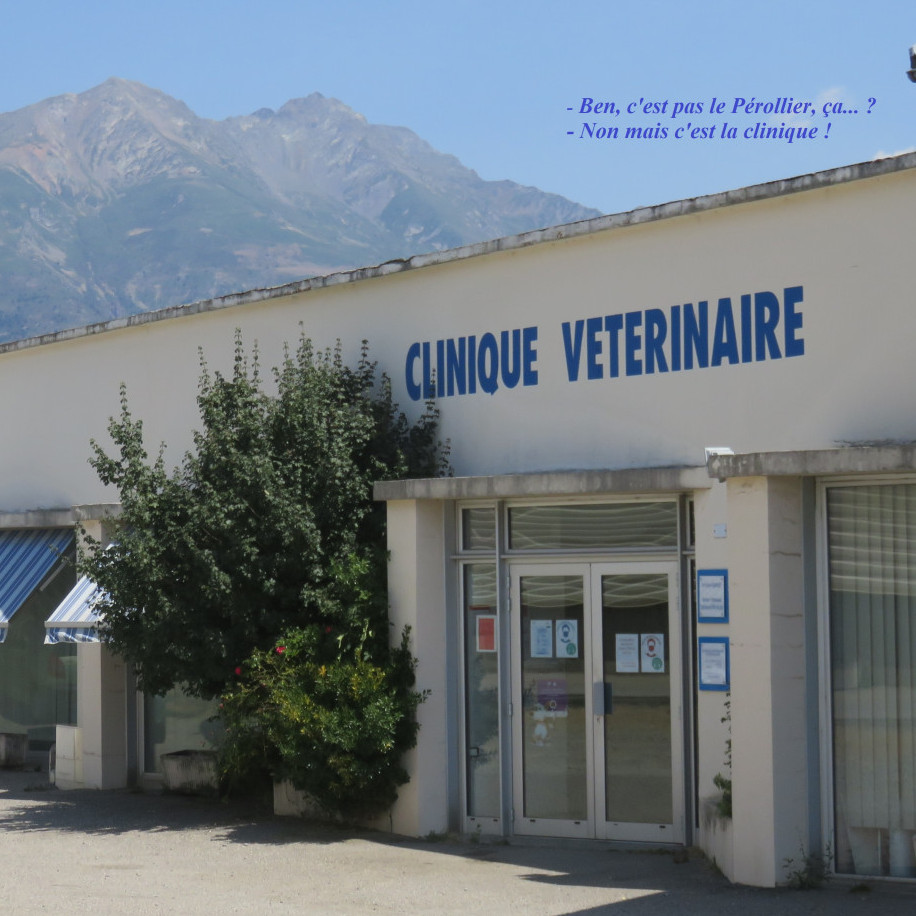 La clinique vétérinaire du Pérollier vous accueille, vous et vos animaux à La Mure, coeur du plateau Matheysin,
