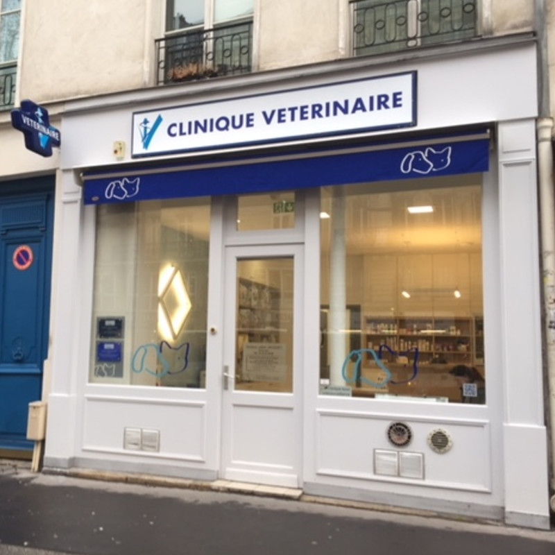 Bienvenue sur le site de la Clinique vétérinaire du Temple située à Paris 3 !