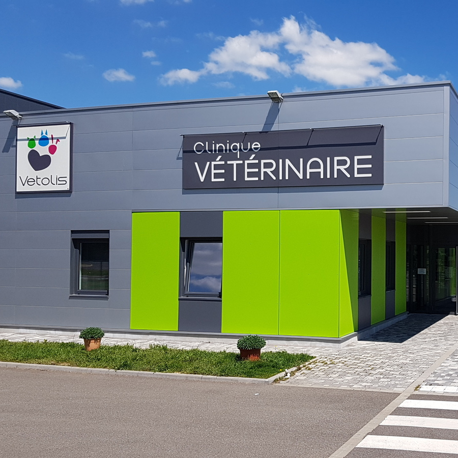 VETOLIS CLINIQUE VETERINAIRE