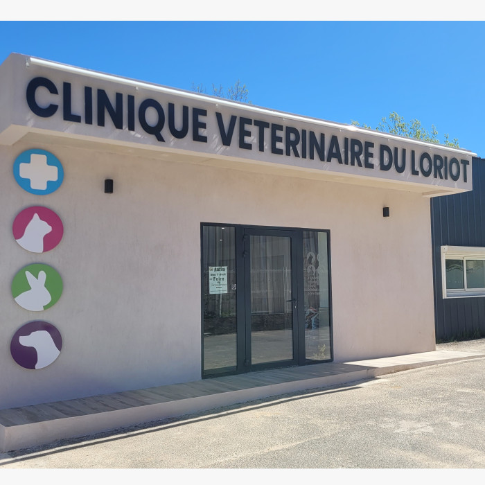 Bienvenue sur le site de la Clinique Vétérinaire du Loriot !
