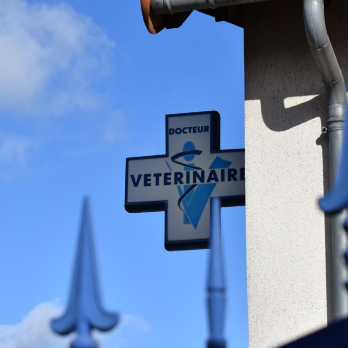 Bienvenue à la Clinique Vétérinaire de la Tangentielle