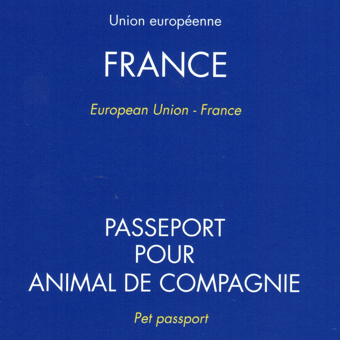 Actualités - passeports