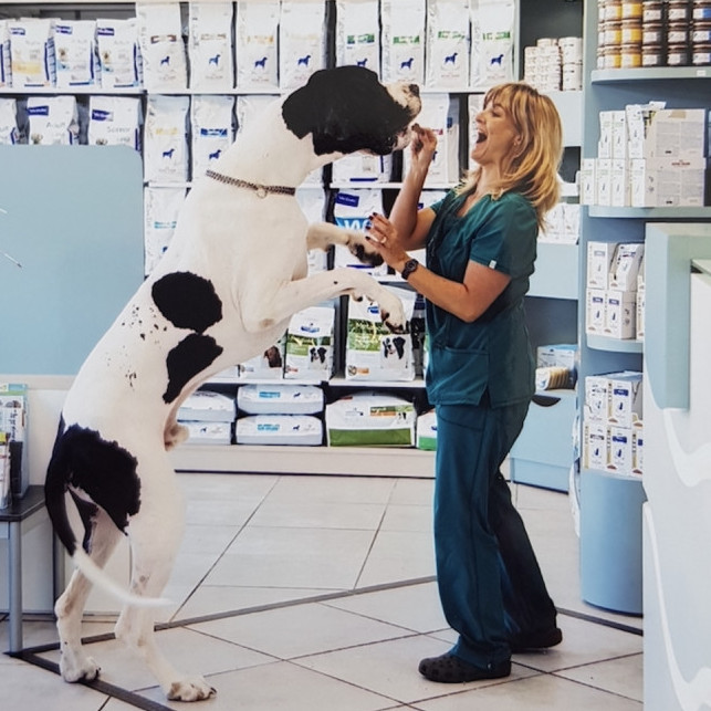 A LA CLINIQUE VETERINAIRE DE LA MER ....