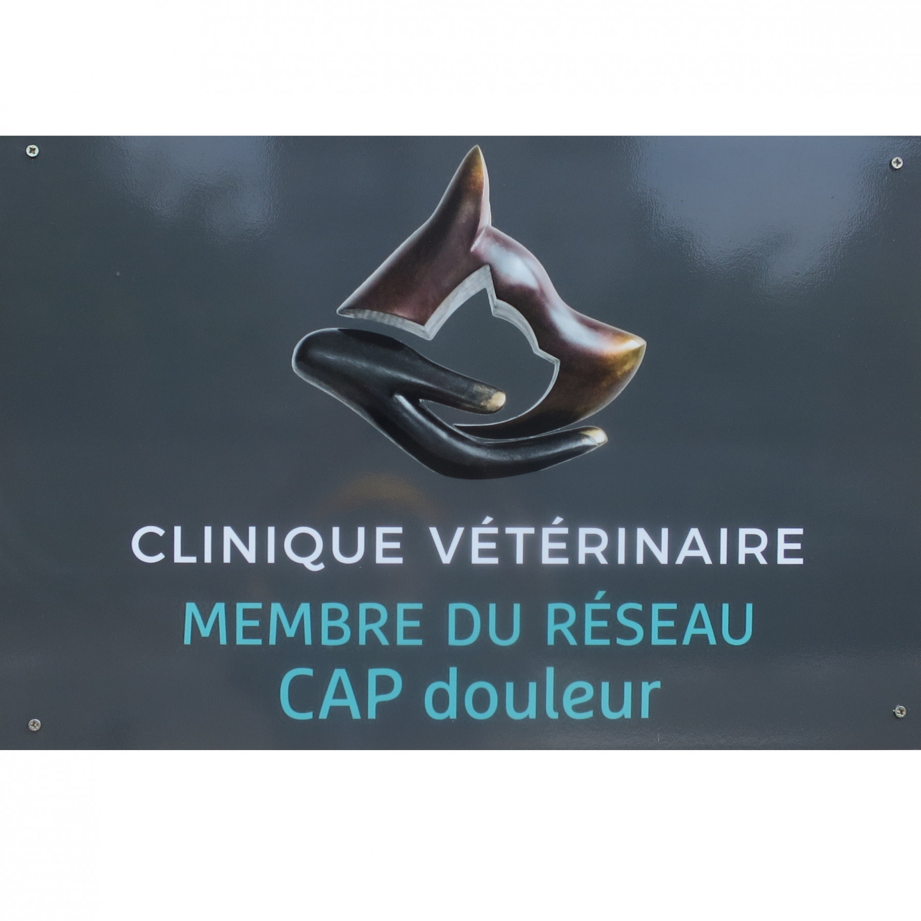 CLINIQUE VETERINAIRE du Dr ZAPATA à VIENNE membre du réseau CAP DOULEUR