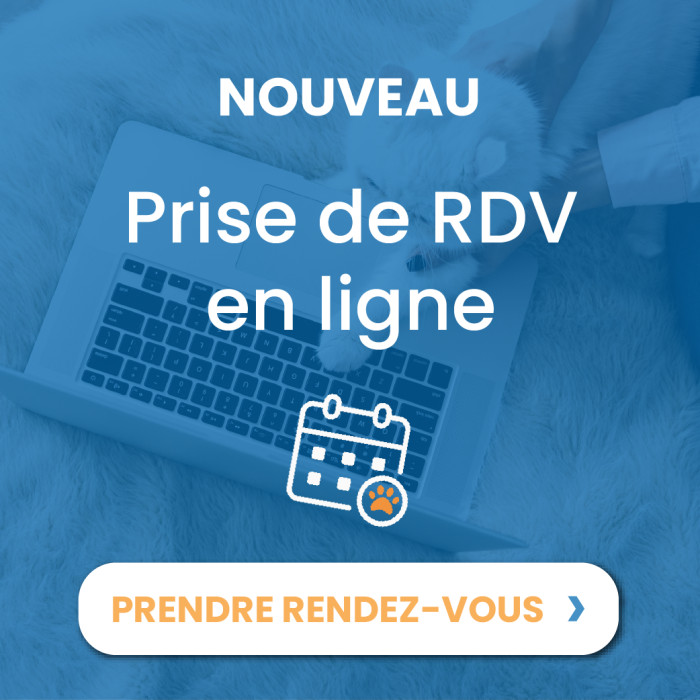 Prise de RDV en Ligne