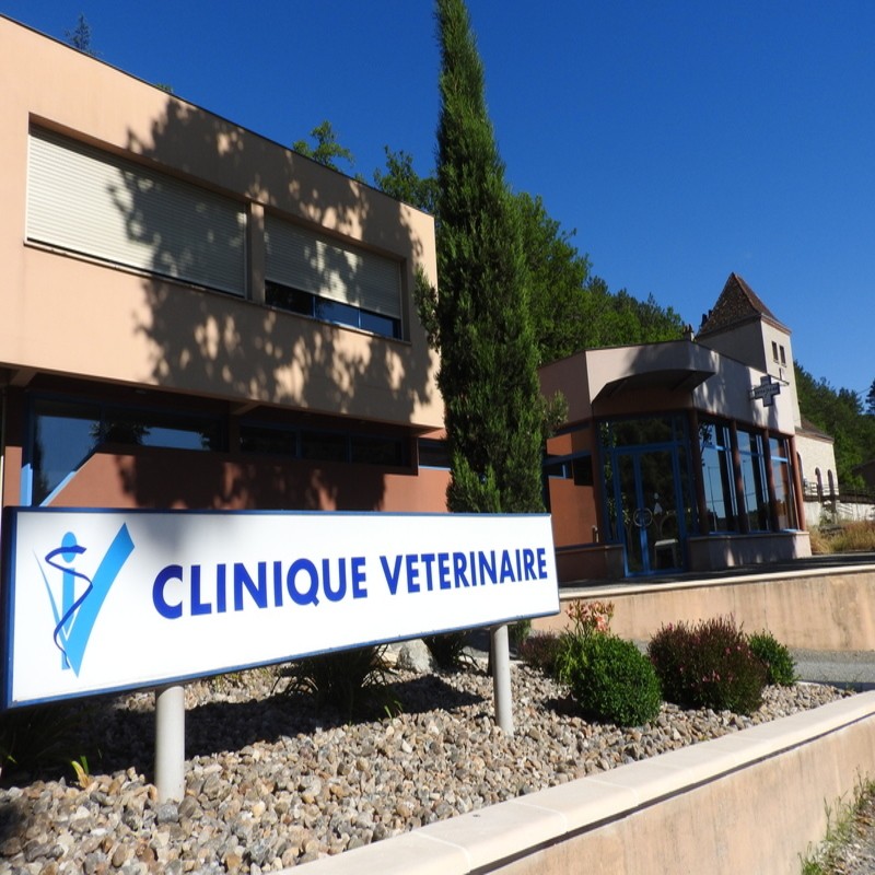 Bienvenue sur le site de la clinique vétérinaire des Arches!