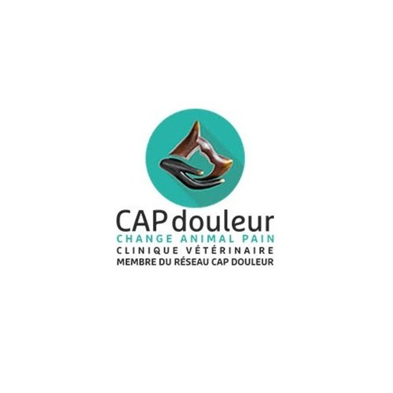 Réseau CAP DOULEUR