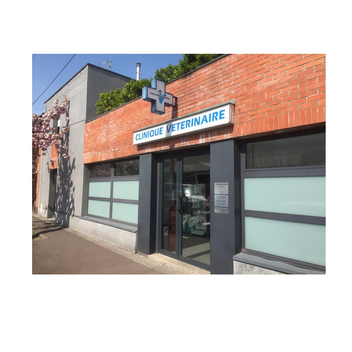 Bienvenue sur le site de la clinique du Coeur Joyeux !