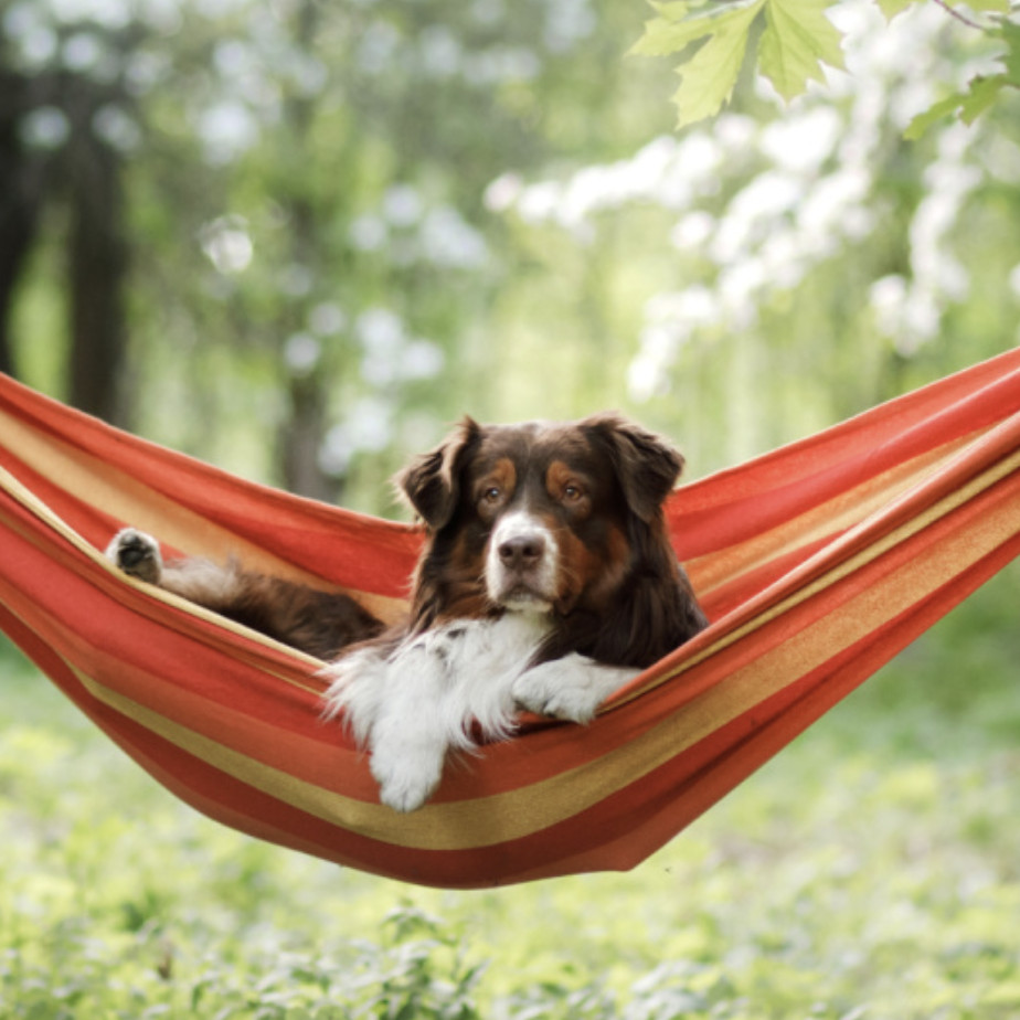 vacances été