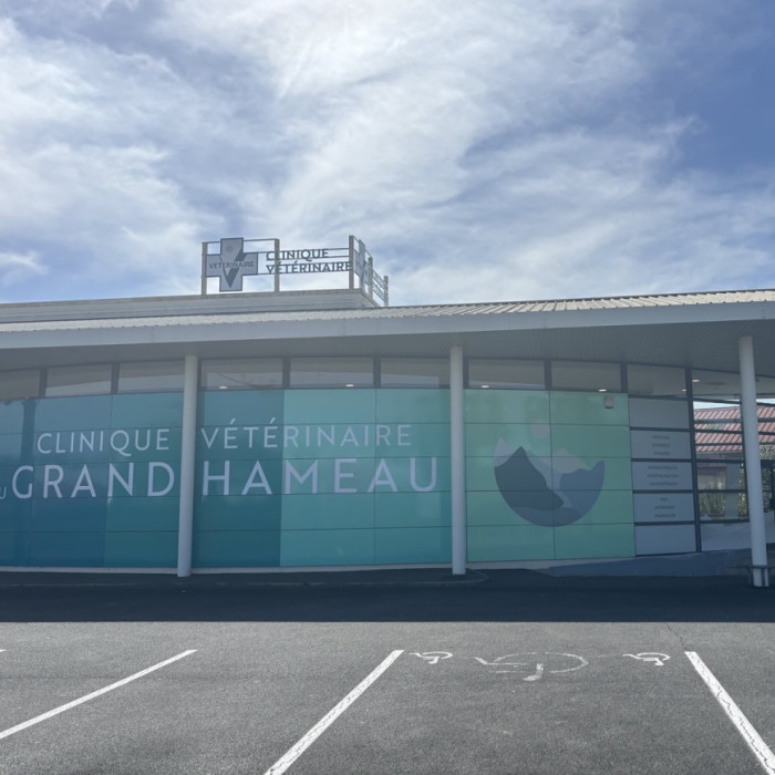LA CLINIQUE vétérinaire du GRAND HAMEAU