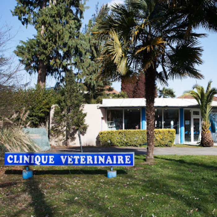 DES CHATS & DES NAC