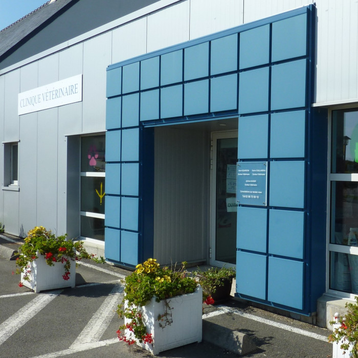 Chaine de cliniques ou vétérinaires indépendants ?