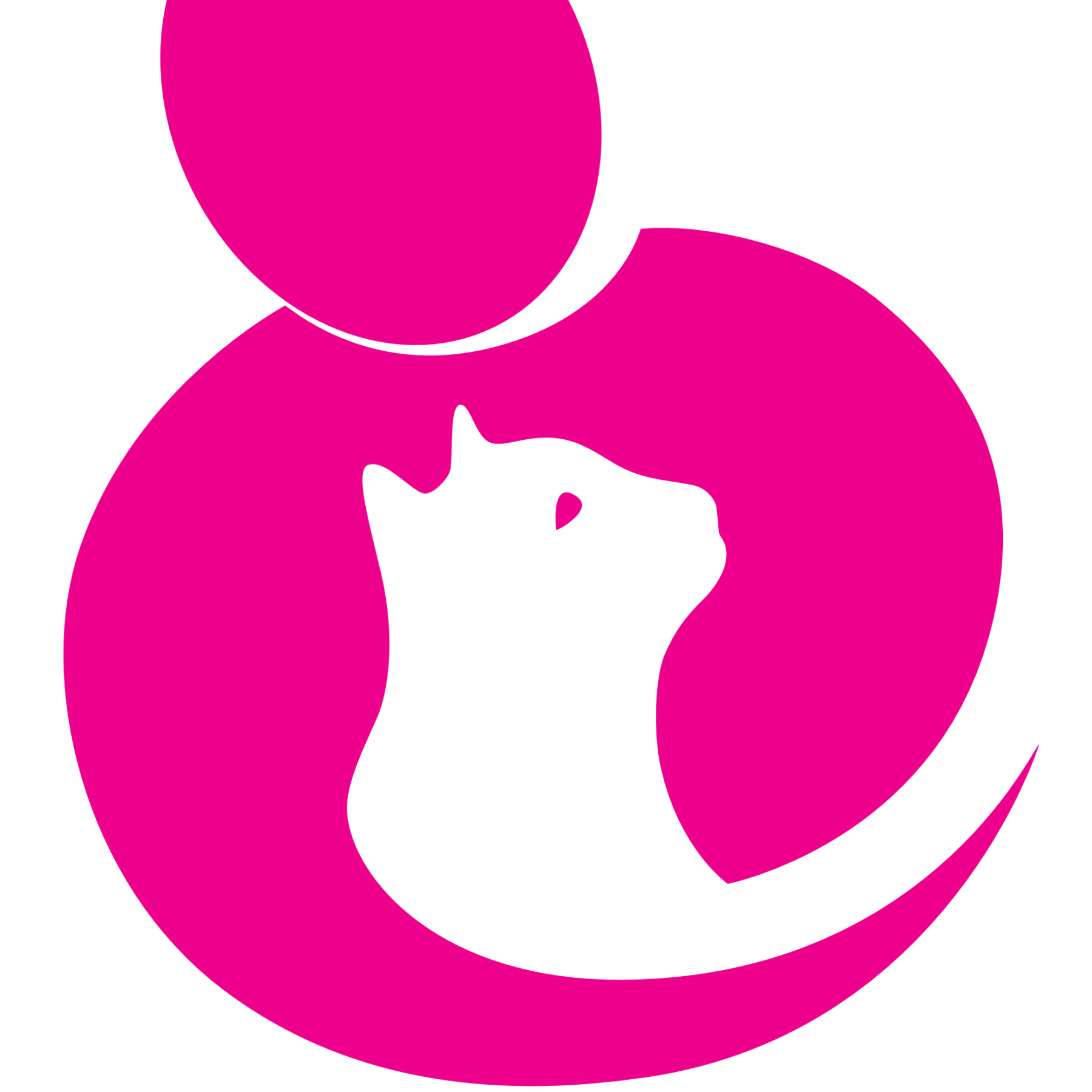 Notre clinique est officiellement accréditée "Clinique amie des chats" par la société internationale de médecine féline.