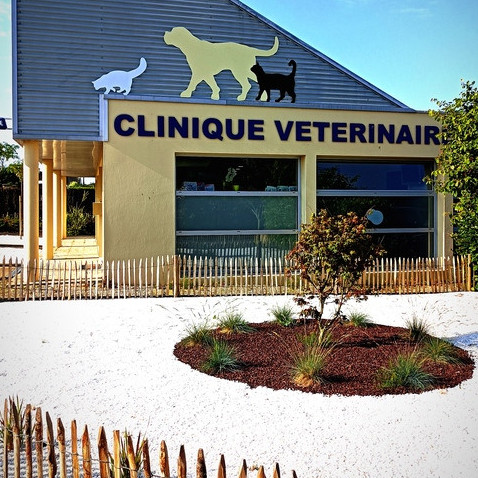 Bienvenue sur le site de la Clinique Vétérinaire des Rivières à PONT-AVEN