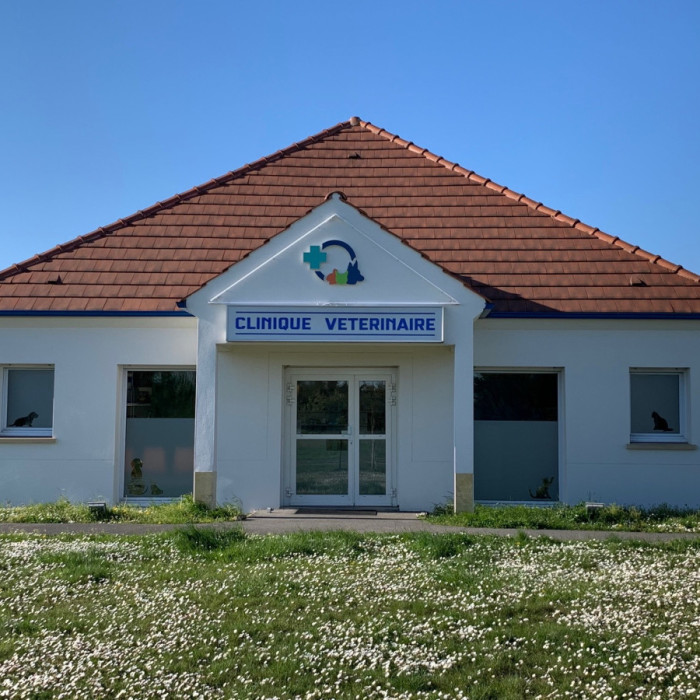 Bienvenue sur le nouveau site de la Clinique Vétérinaire des Deux Vallées de Thourotte