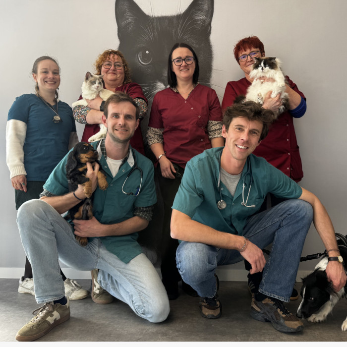 Bienvenue sur le site de la Clinique Vétérinaire VET'ARTOIS située à Vitry-en-Artois !