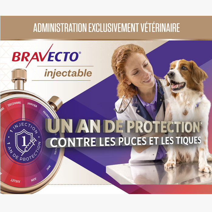 antiparasitaire injectable