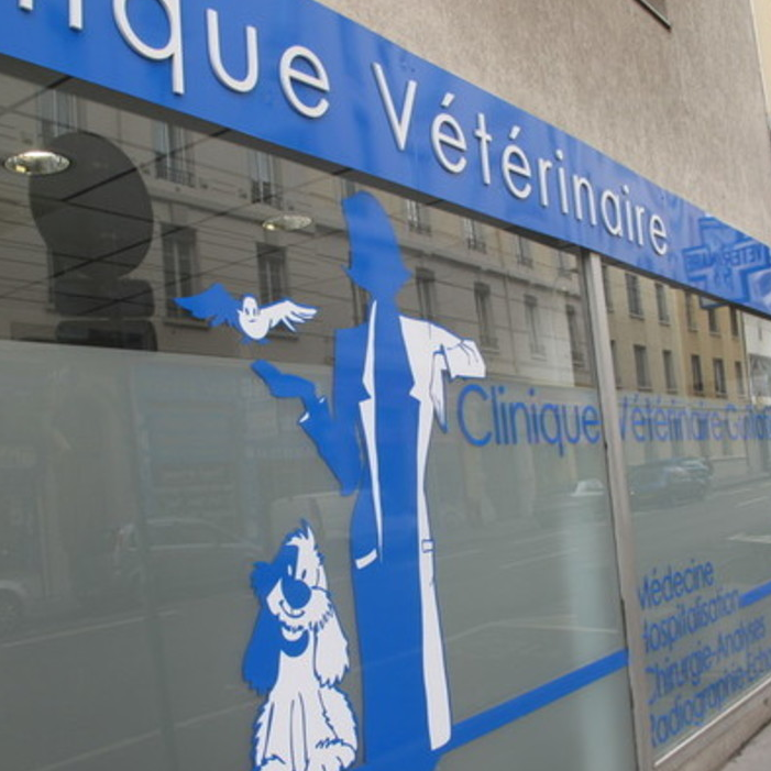 BIENVENUE SUR LE SITE DE LA CLINIQUE VETERINAIRE GUILLOTIERE
