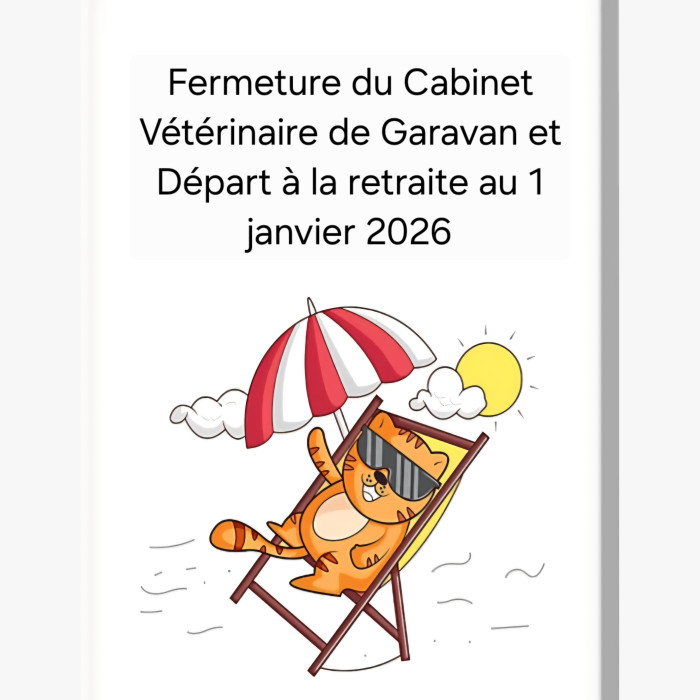 RETRAITE