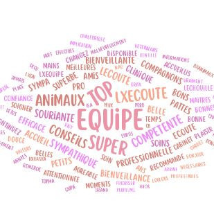 Bienvenue sur le site de la Clinique Vétérinaire du Grand Cerf