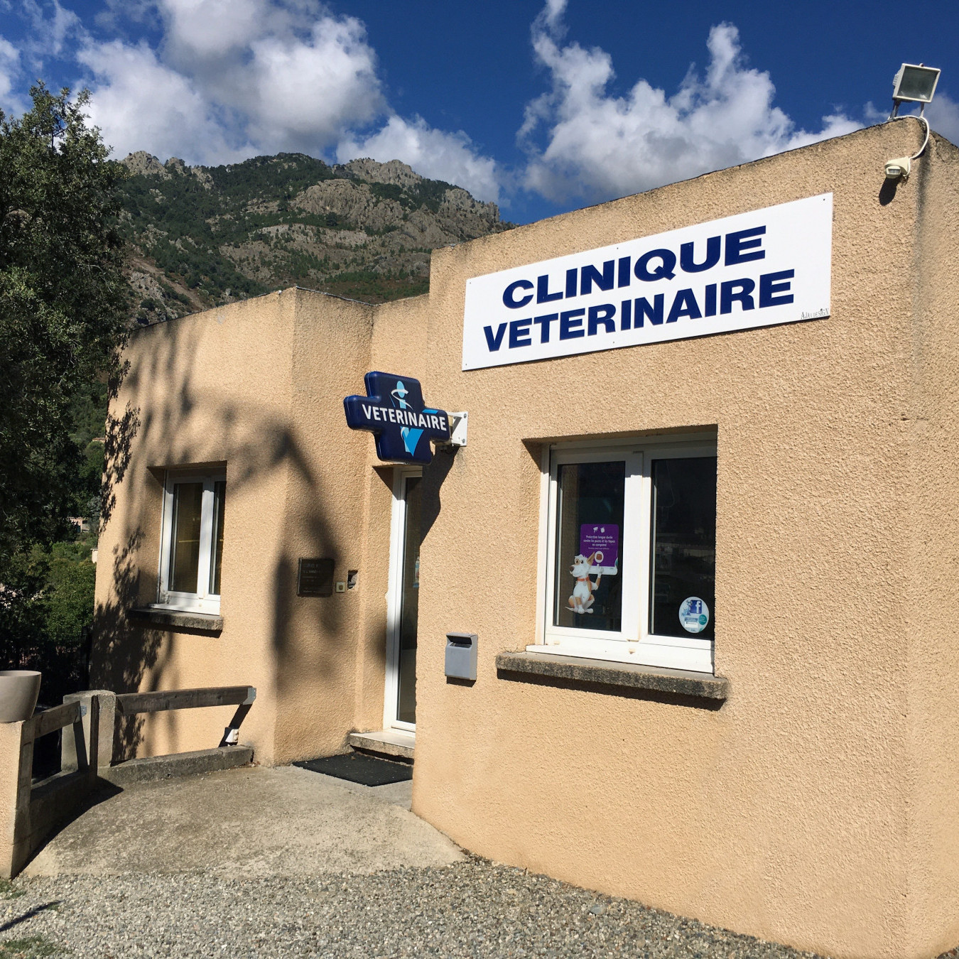 Bienvenue sur le site de la Clinique Vétérinaire de l'Orta