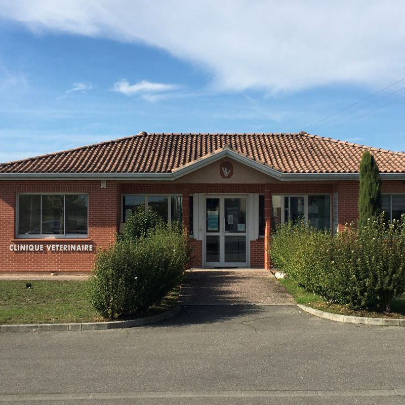 Bienvenue sur le site de la Clinique Vétérinaire Occitane