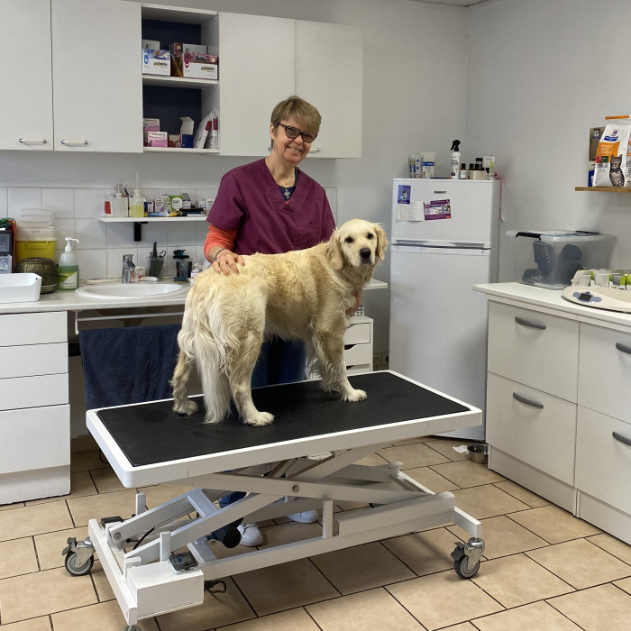 Bienvenue sur le site du Cabinet Vétérinaire du Brun Pain