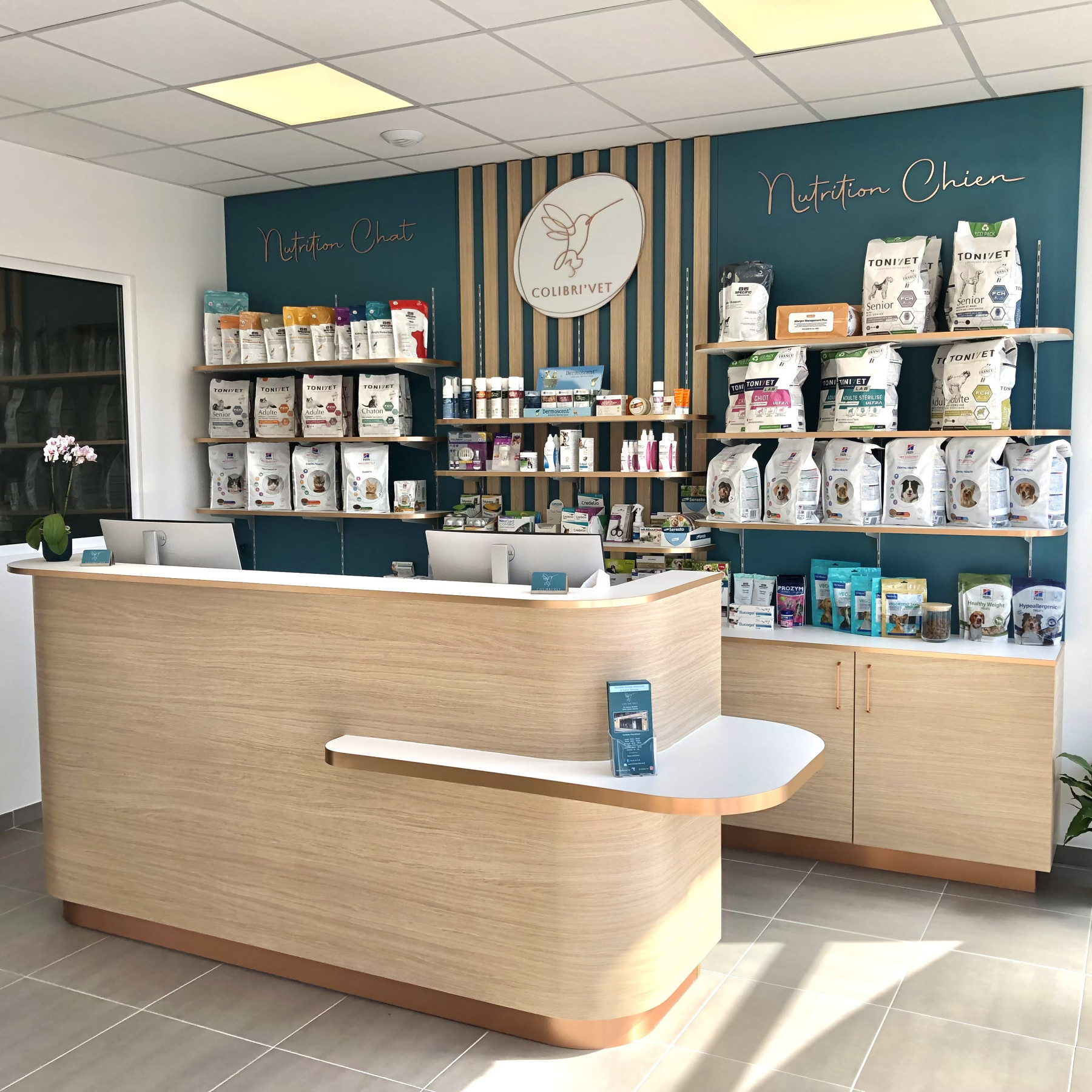 Un sanctuaire de soins pour la santé et le bonheur de vos animaux