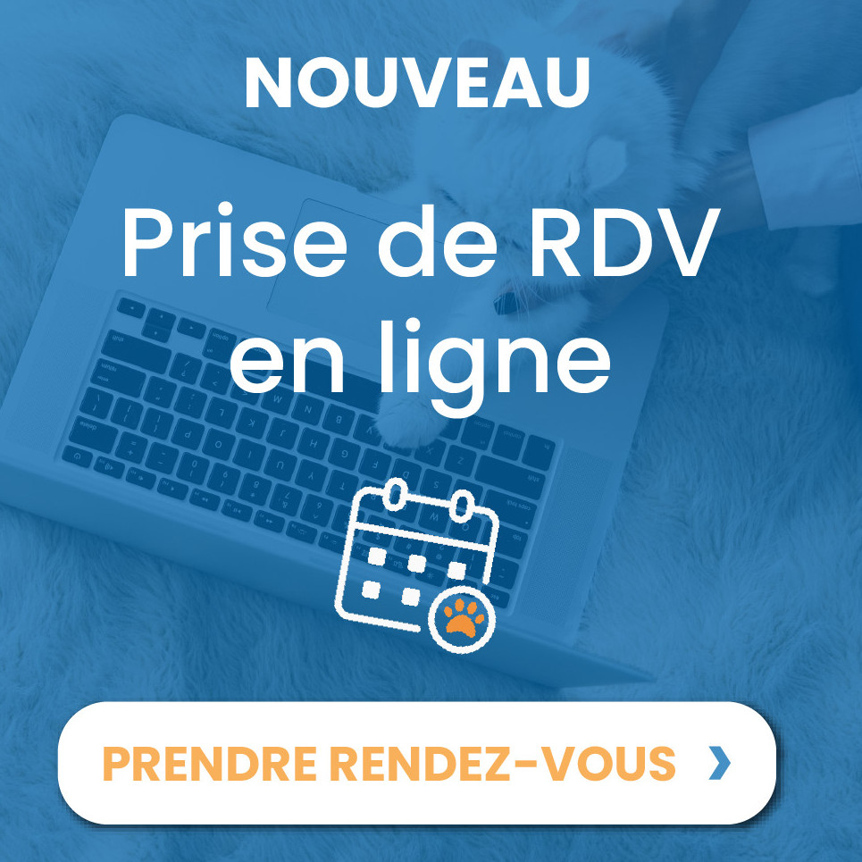 Nouveauté : Prise de RDV en ligne pour les consultations