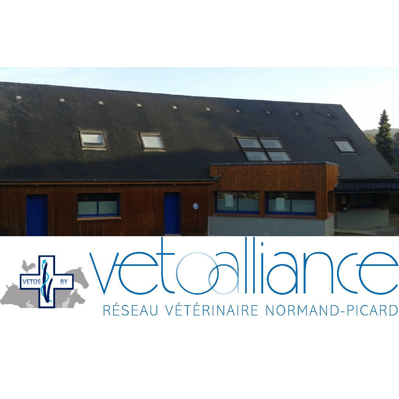 Bienvenue sur le site du cabinet vétérinaire de Ry