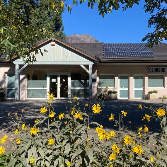 Bienvenue sur le site de la clinique vétérinaire de l'Arly