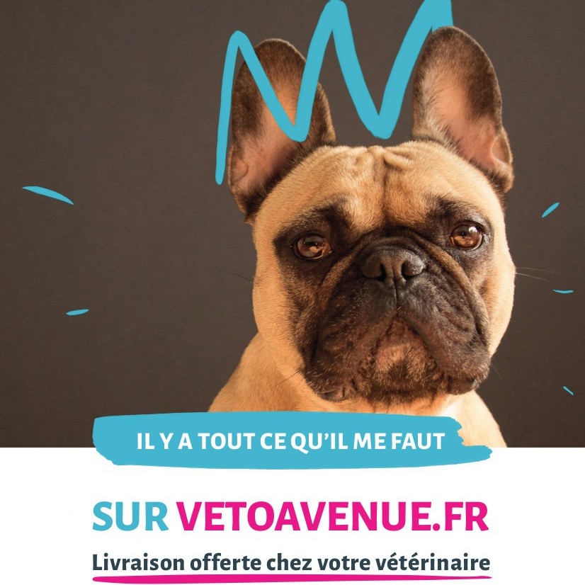Clinique partenaire Vetoavenue