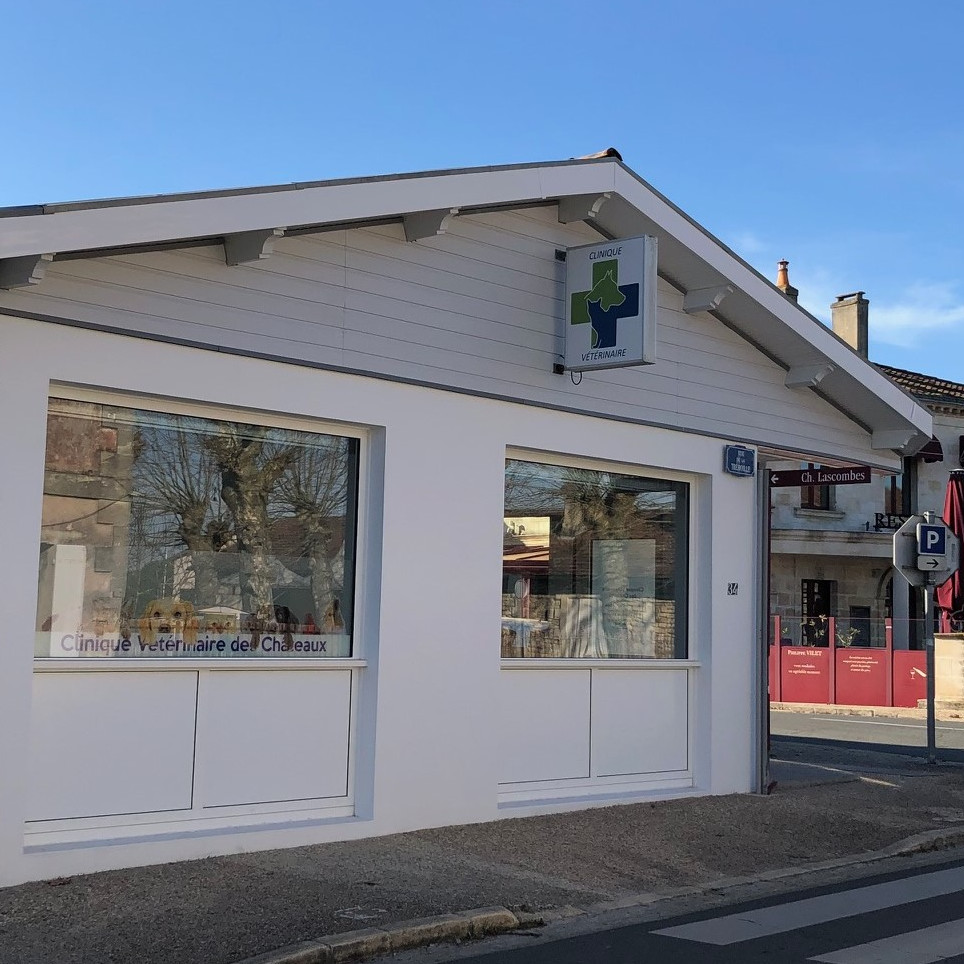 CLINIQUE VETERINAIRE DES CHÂTEAUX