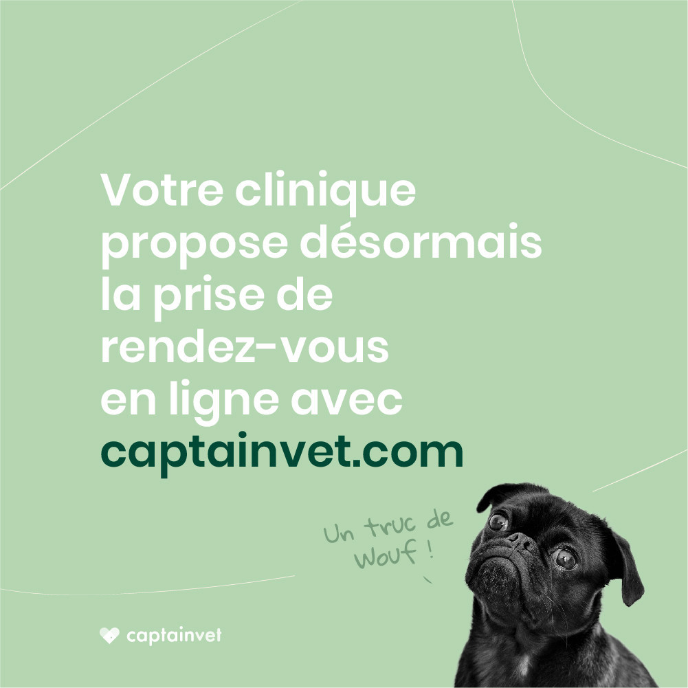 AVEC CAPTAINVET PRENEZ RENDEZ-VOUS EN UN CLIC !