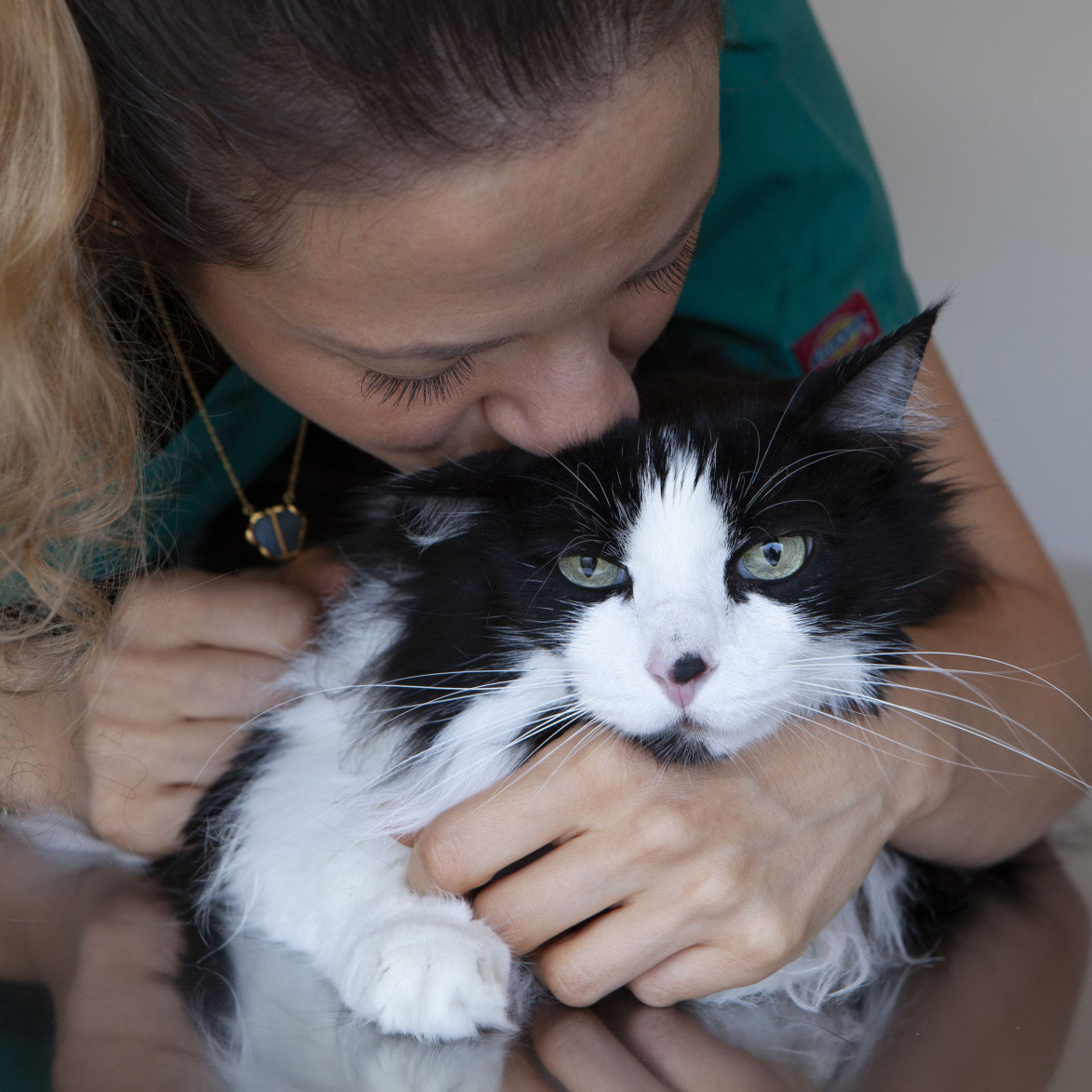 La Clinique vétérinaire qui aime, protège et respecte vos animaux