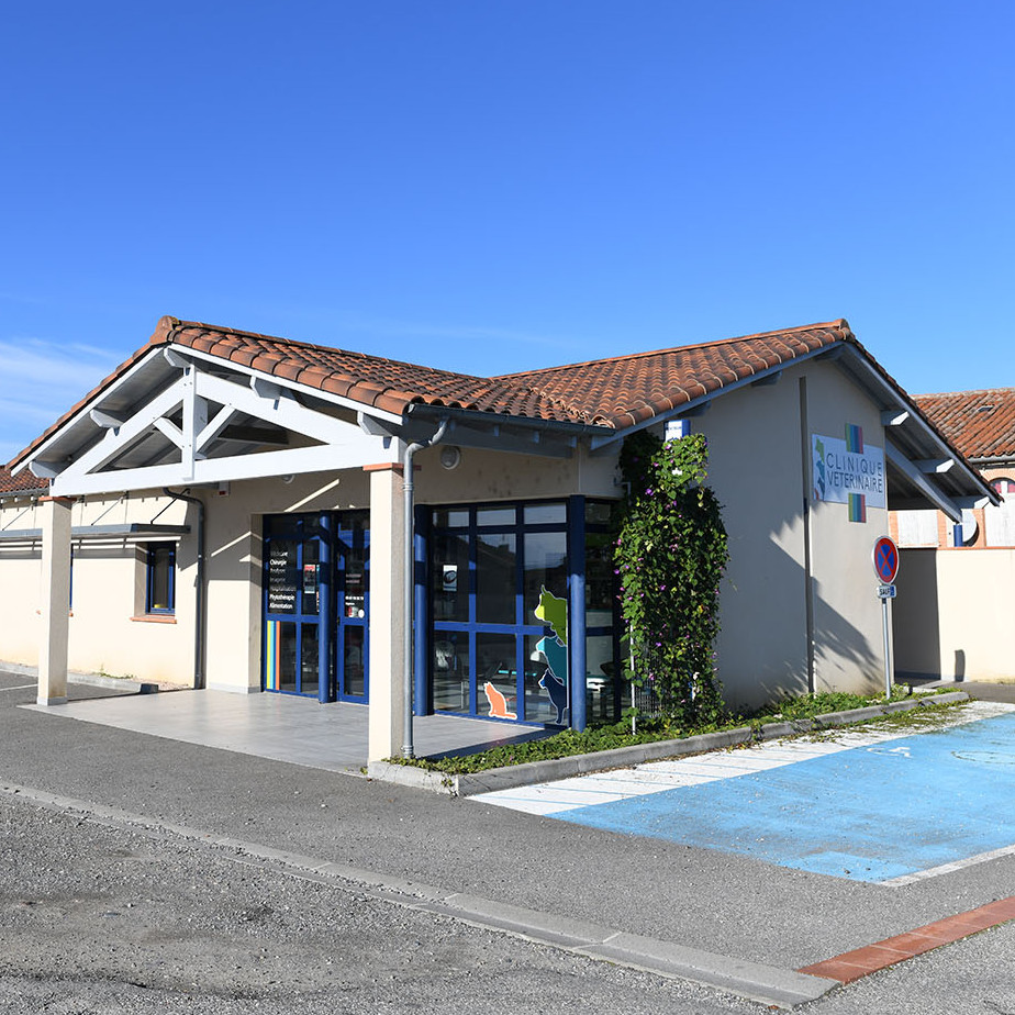 Bienvenue sur le site de la Clinique vétérinaire Le Fousseret !