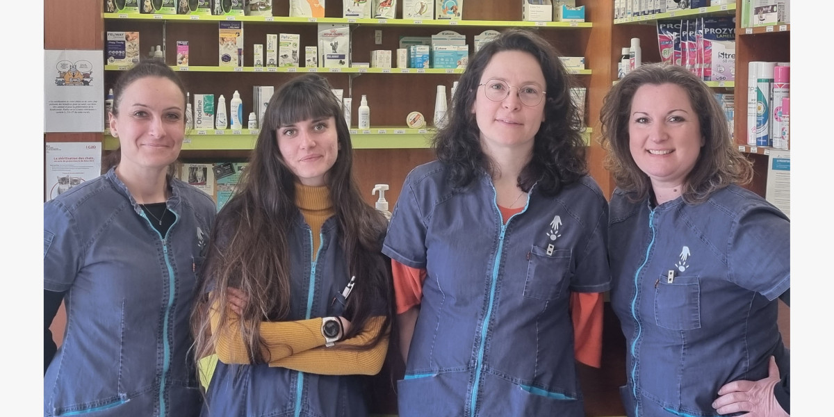 Kelly, Margot, Bélinda et Céline, notre équipe d'ASV