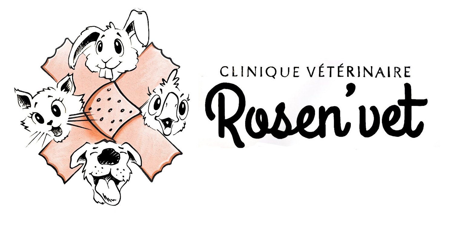 Notre équipe