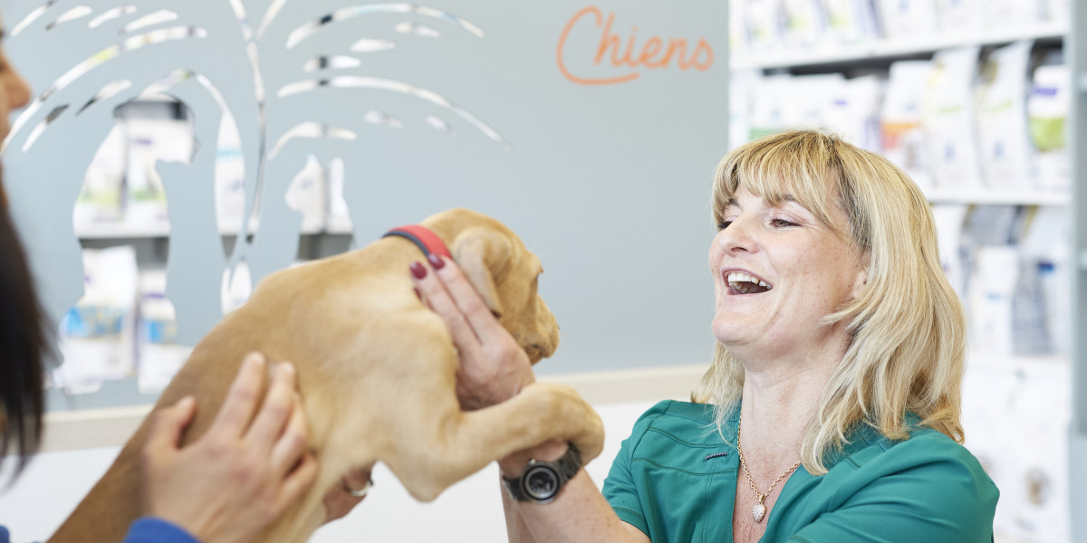 veterinaire-Raybaud-clinique-de-la-mer