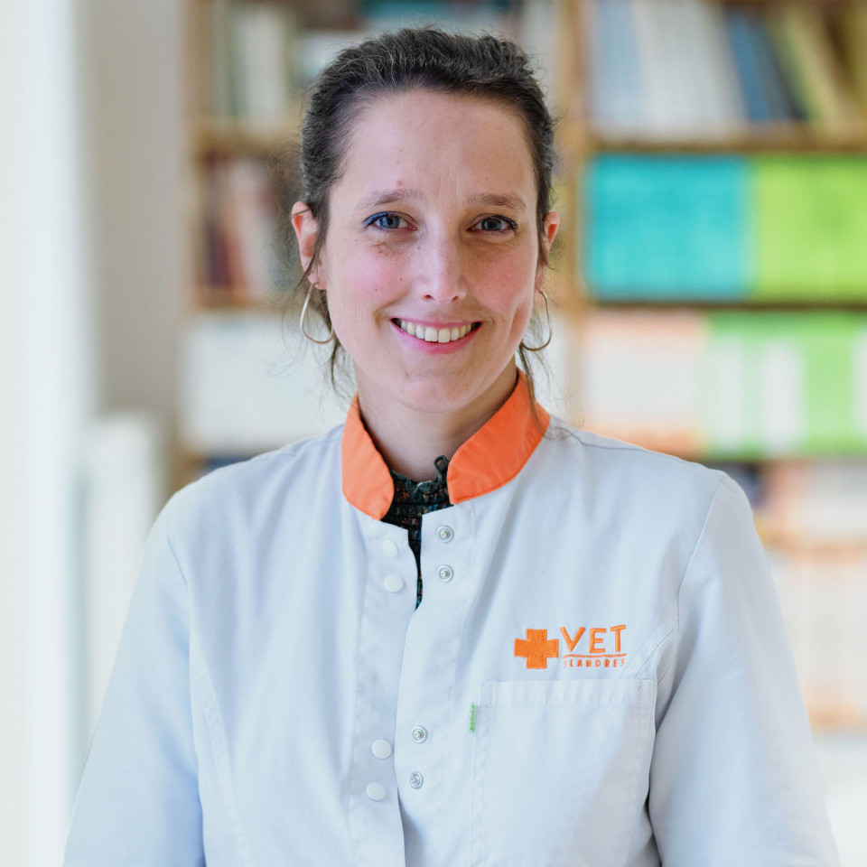 Lucie -