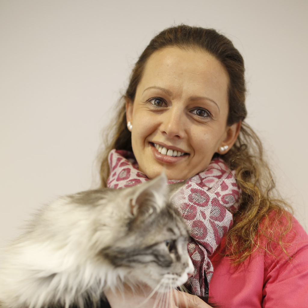 Virginie 