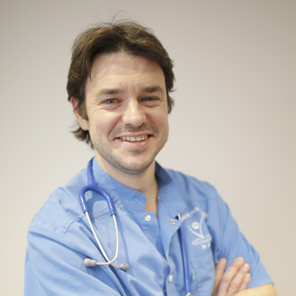 Laurent BOSIO
