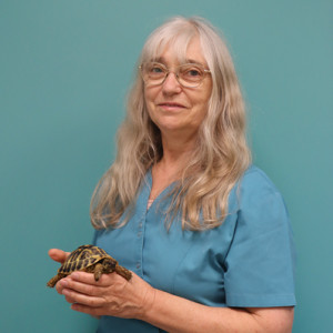 Laure TISON