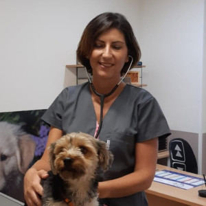 Dr Anne PIERMONT